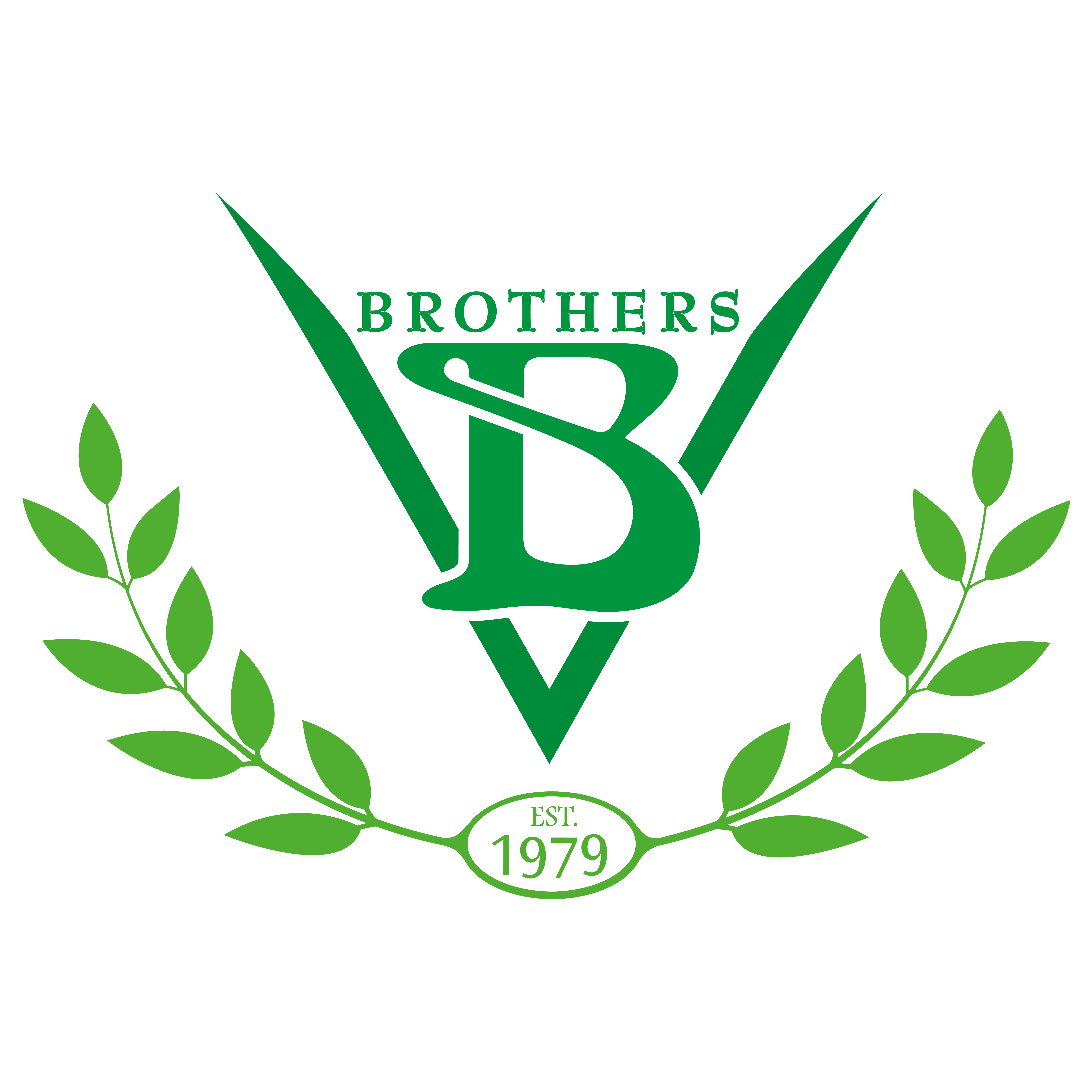 employer-logo-thumb-vb-brothers-pvt-ltd