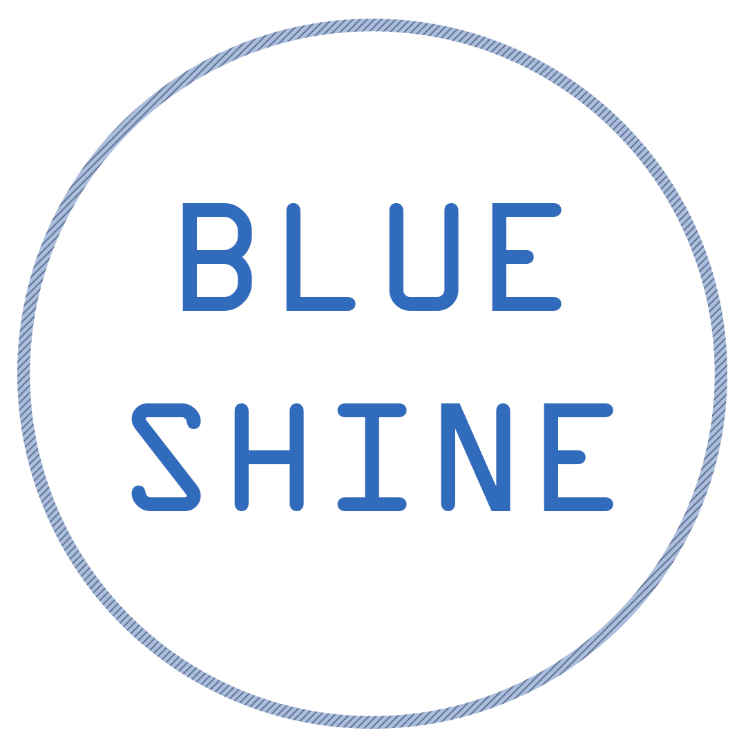 employer-logo-thumb-blue-shine
