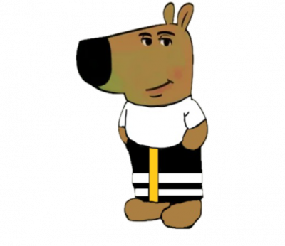 Ahmed Ayyoob Hassan