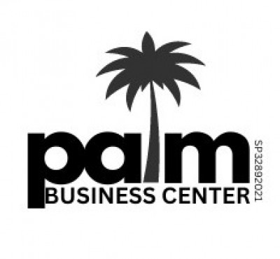 PALM BUSINESS CENTER logo