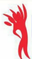 employer-logo-thumb-bold-borders-pvt-ltd