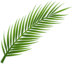 employer-logo-thumb-fehi-fan-investment-pvt-ltd