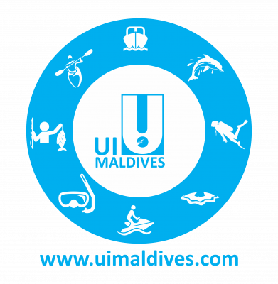 UNITED INTERNATIONAL (UI) PVT LTD