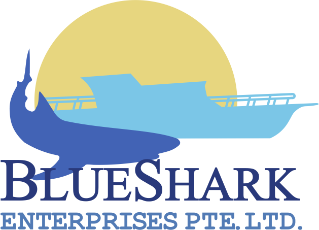employer-logo-thumb-blueshark-enterprises-pvt-ltd