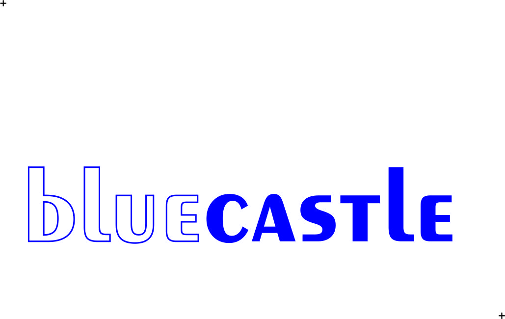 employer-logo-thumb-blue-castle-investment-pvt-ltd