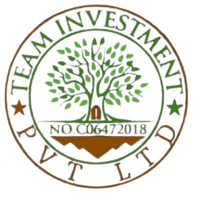 TEAM INVESTMENT PVT LTD