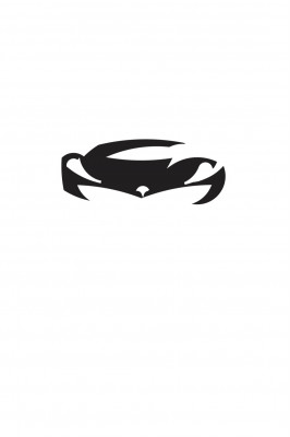GLOBAL AUTO PVT LTD