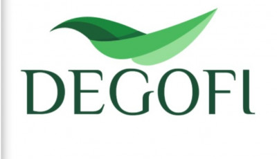 DEGOFI PVT LTD