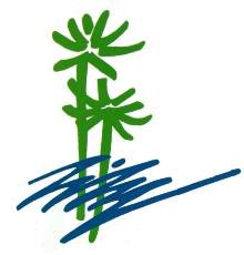 employer-logo-thumb-7911285