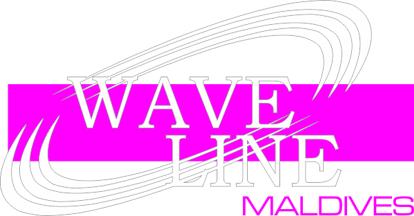 employer-logo-thumb-wave-line-maldives-pvt-ltd