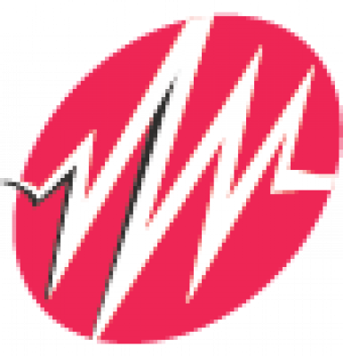 PAWAREY INVESTMENT PVT LTD