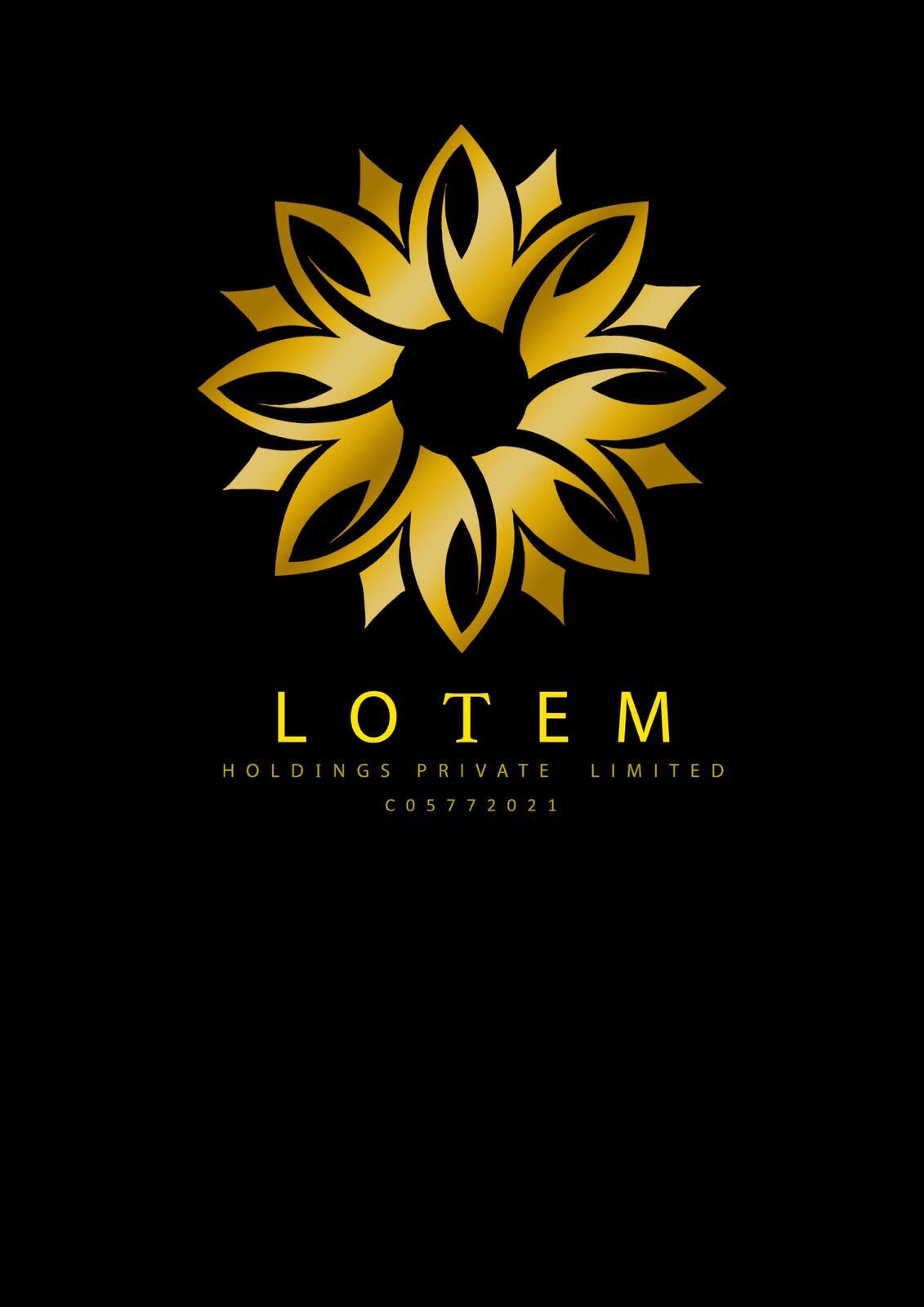 employer-logo-thumb-lotem-holdings-pvt-ltd