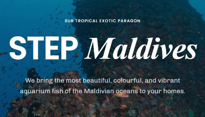 employer-logo-thumb-sub-tropical-exotic-paragon