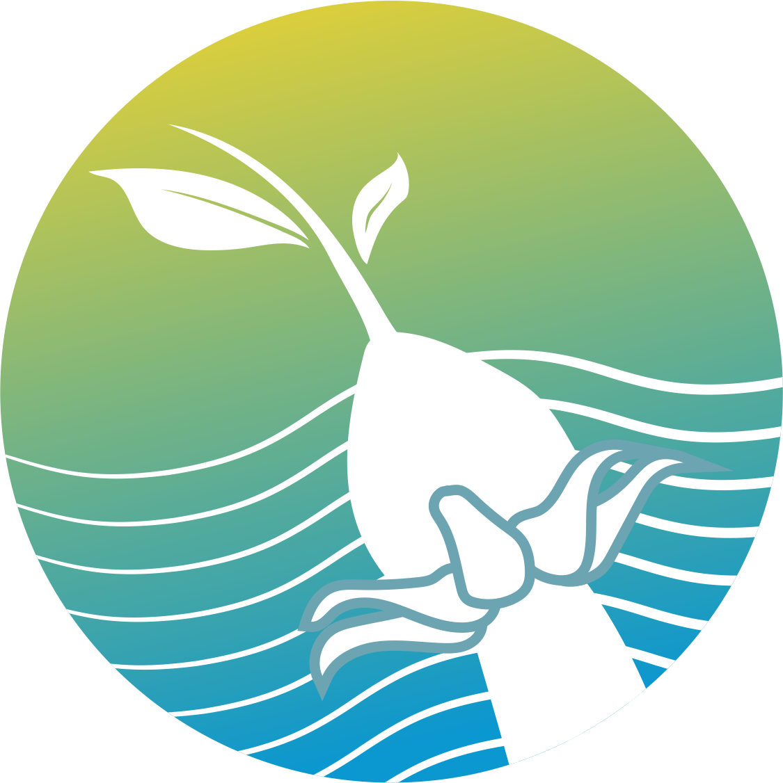 employer-logo-thumb-secretariat-of-the-kendhikulhudhoo-council