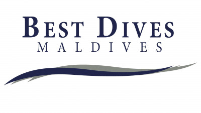 BEST DIVES PVT LTD