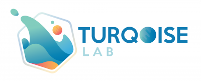 TURQOISE LAB PVT LTD