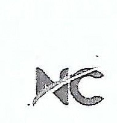 NEES COMPANY PVT LTD