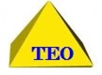 TEO INVESTMENT PVT LTD