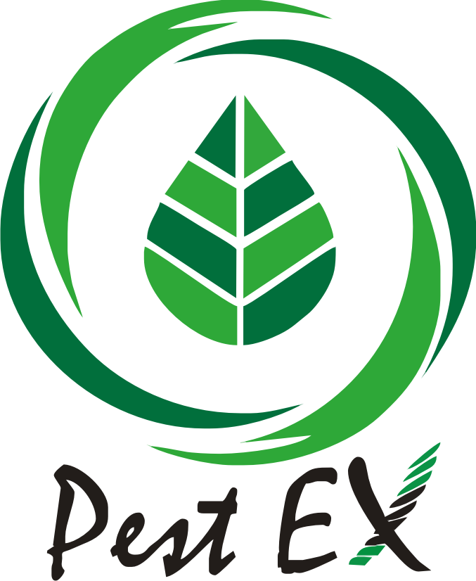 employer-logo-thumb-pest-ex-maldives-pvt-ltd