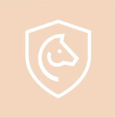 Stallion Safety & Security Pvt Ltd