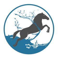 employer-logo-thumb-horizon-business-group-pvt-ltd