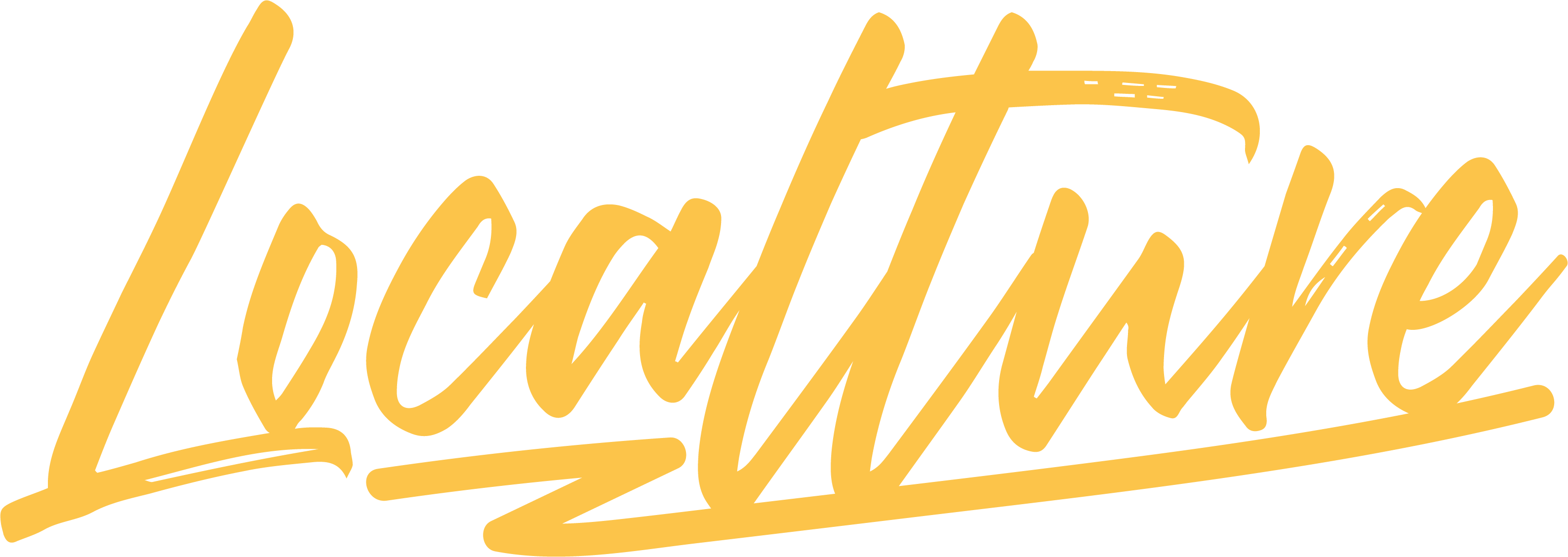 employer-logo-thumb-localture-travel-tours