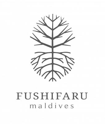 FUSHIFARU INVESTMENTS PVT LTD