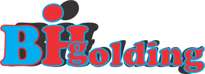 BIG HOLDING PVT LTD