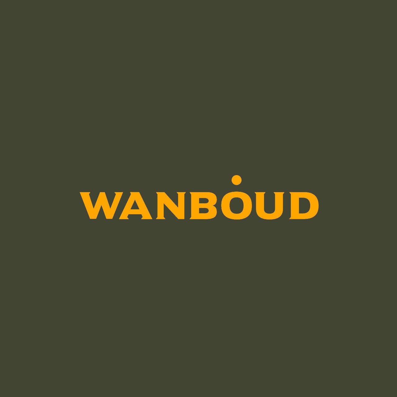 employer-logo-thumb-wanboud-pvt-ltd