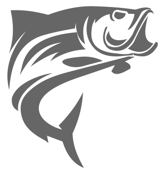 employer-logo-thumb-market-hotaa