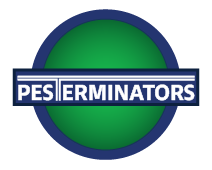 employer-logo-thumb-fintegic-investments-pvt-ltd
