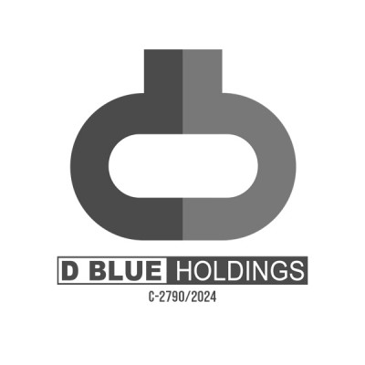 D BLUE HOLDINGS PVT LTD