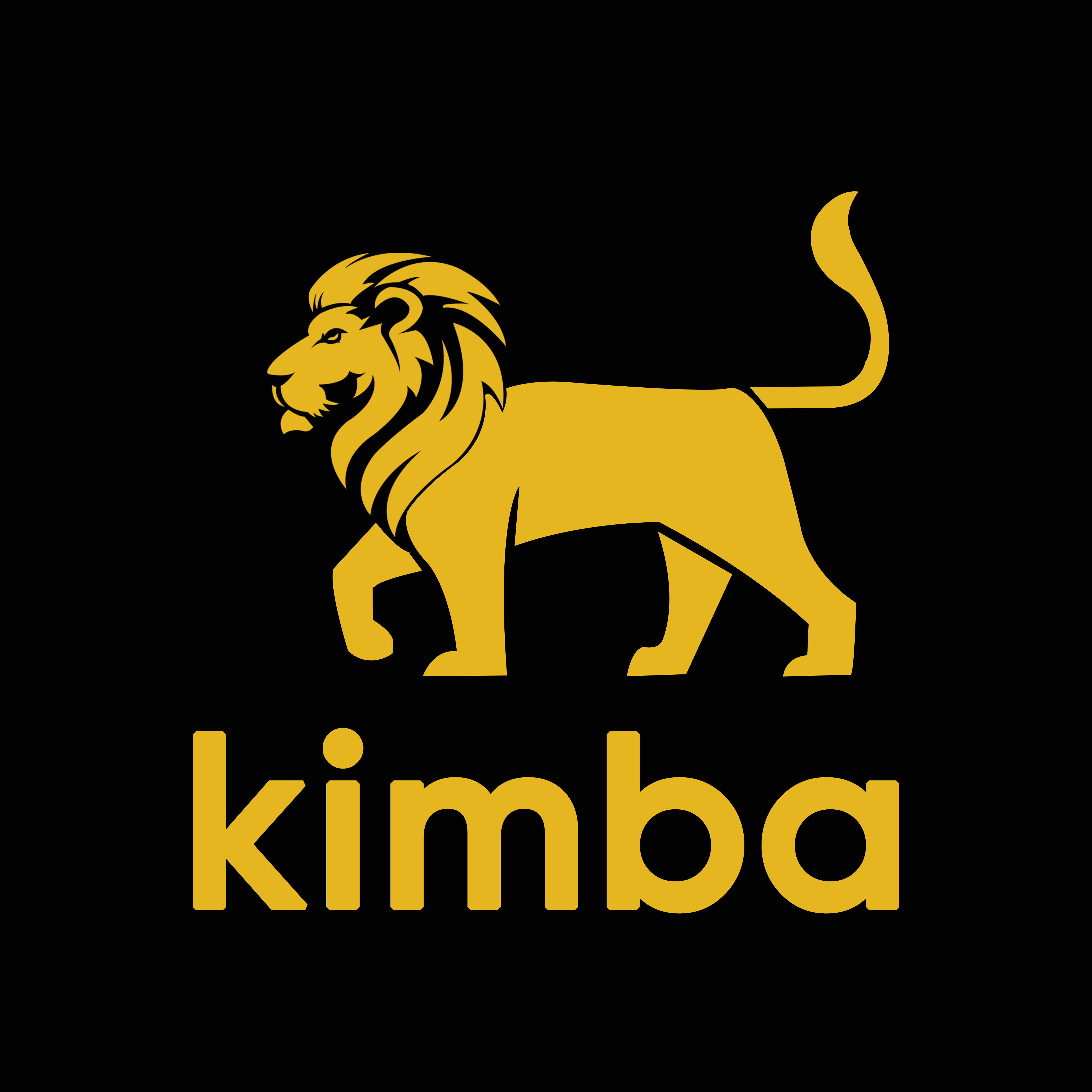 employer-logo-thumb-kimba-maldives-pvt-ltd
