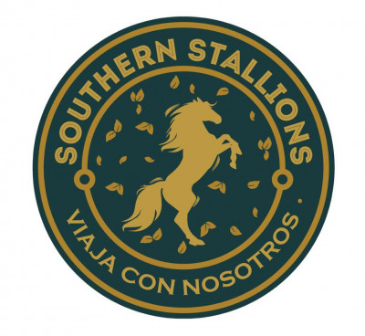 SOUTHERN STALLIONS Pvt Ltd