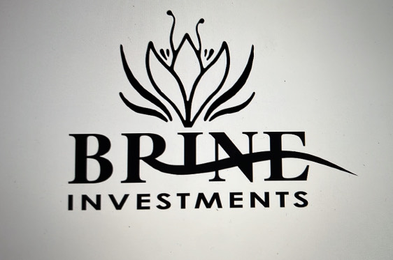 employer-logo-thumb-brineinvestmentspvtltd