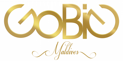 Gobig Maldives Pvt Ltd logo