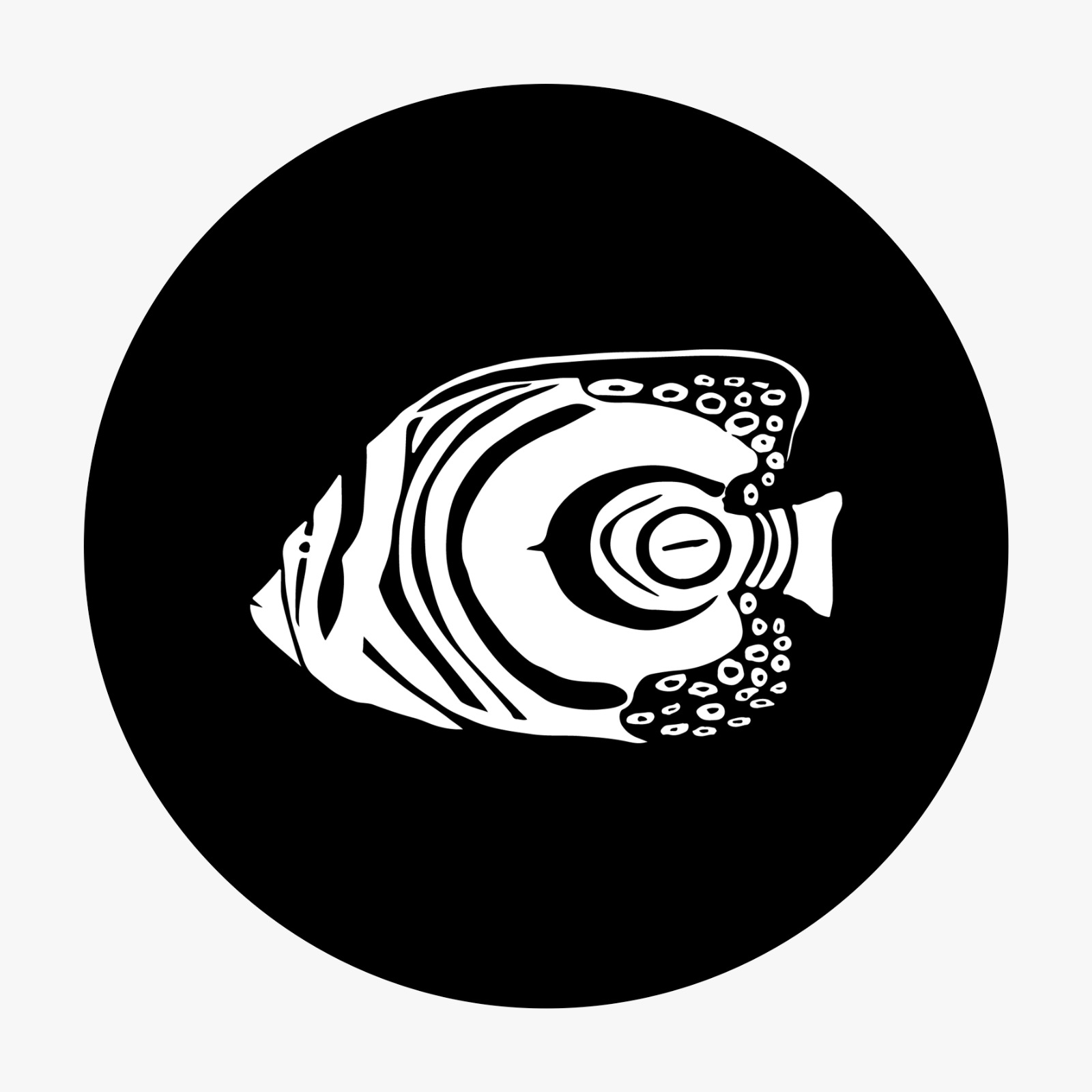 employer-logo-thumb-rasheed-mansoor