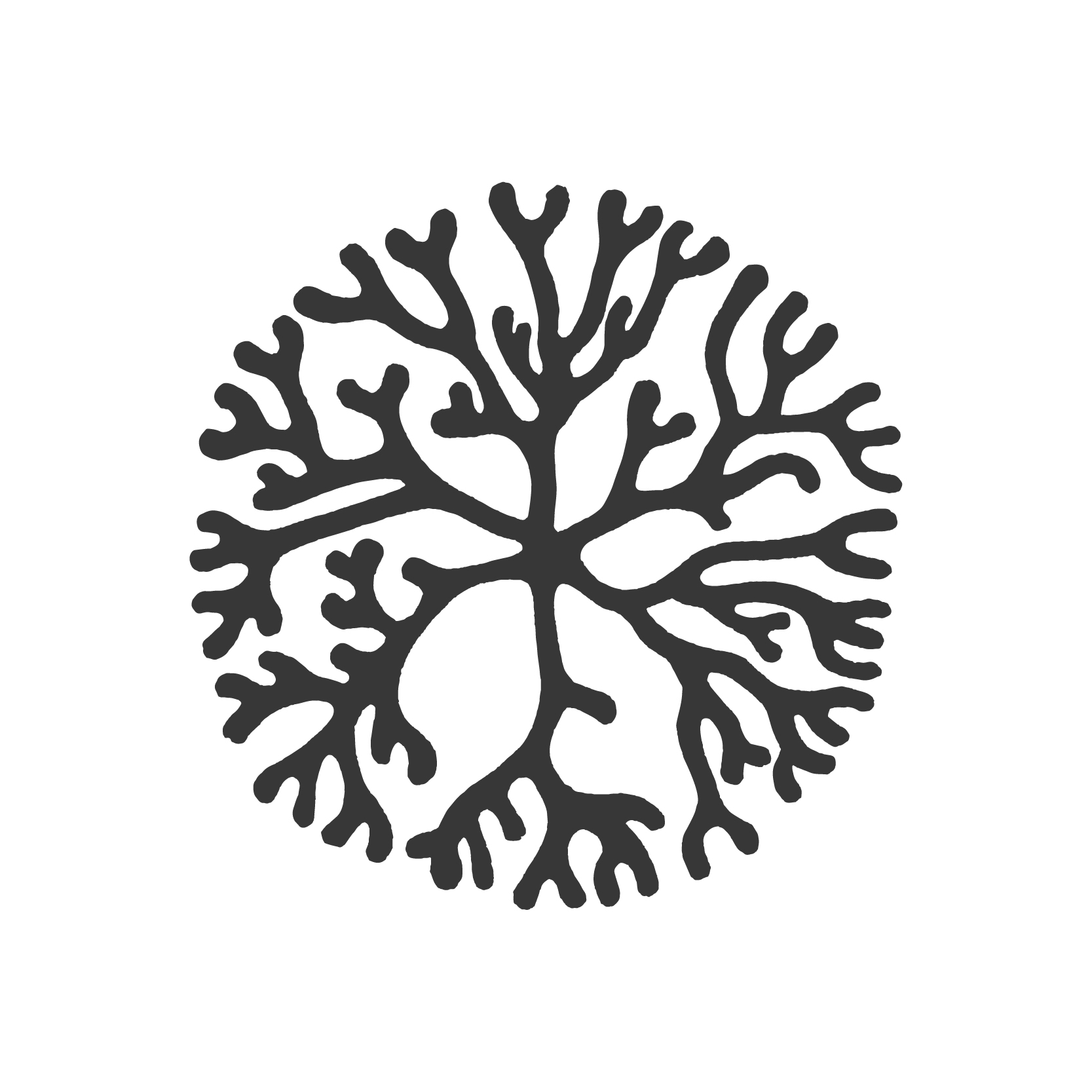 employer-logo-thumb-isle-international-pvt-ltd
