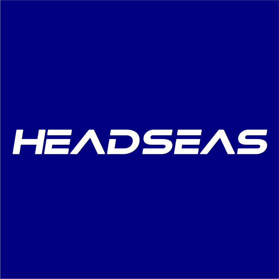 employer-logo-thumb-head-seas-pvt-ltd