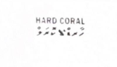 Hard coral pvt ltd