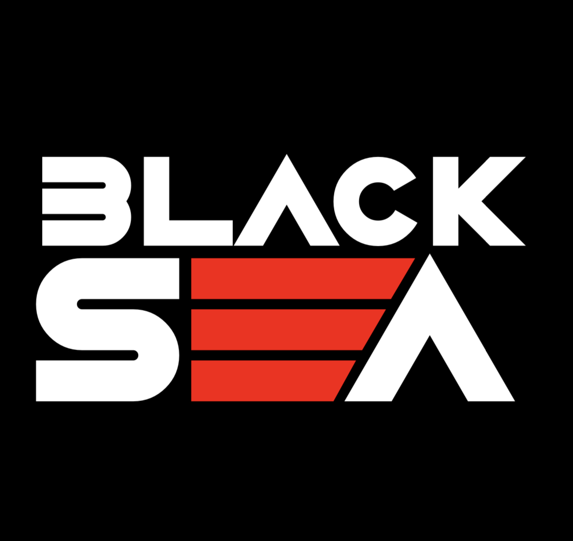 employer-logo-thumb-black-sea-pvt-ltd