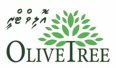 OLIVE TREE PVT LTD