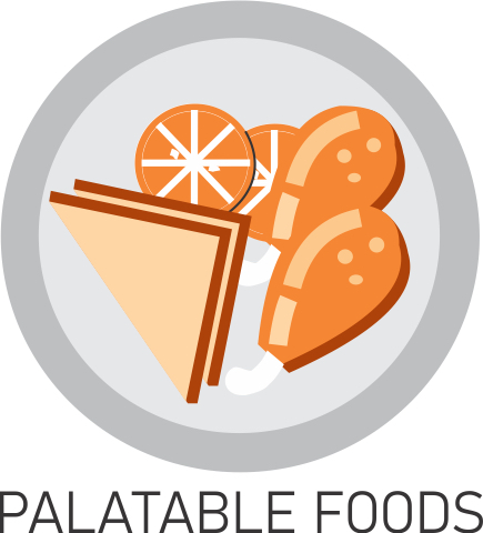 employer-logo-thumb-palatable-foods-pvt-ltd