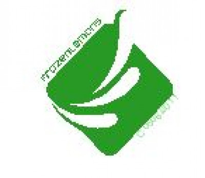 FROZEN LEMONS Pvt Ltd